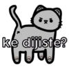 Pack de gatitos 10