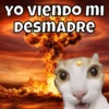Michitos pal chat🐱🩷 13
