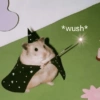 ANIMALITOS ♥️🦝 30