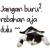 Kucing Lucu 15