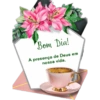 Pro dia a dia 16
