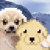 Memes random 👾  7