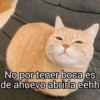 No por tener boca es de ahuevo abrirla eehh