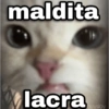 ✨ Memes mix 7 🔥 6