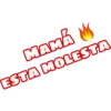 Frases familia 10