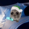 Cricetino Sad Hamster pt.3 18