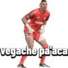 River plate  22