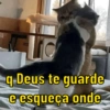 Usa com os amigos  10