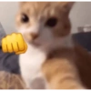 Catscatacats9 29