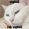 Biyu 7