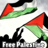 Stop war Palestina  5