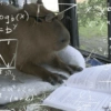 1.37110 ogb(x) = b² m a 35812 =a²+2ab =(a+b) hab Capyba