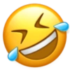 Emoji iphone  5