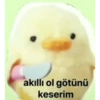 akıllı ol götünü keserim