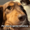 Memes variados para Whatsapp 6