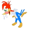 Picapau 12