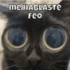 Michitos pal chat🐱🩷 7