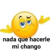 nada que hacerle mi chango