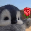 ANIMALITOS ♥️🦝 18