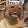 Bromita