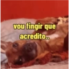 Aleatório 16