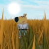 New chill guy 5