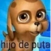 Stickers pal grupo so😂😂 8