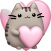 Pusheen Pink 🩷🩷 14