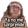 Ya no me sorprende