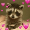 ANIMALITOS ♥️🦝 21