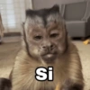 Si