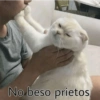 Gatos Raros😼🎩 16