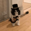 Bebe chorão  15