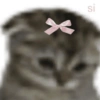 Coquette pink aesthetic 14