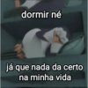 Novos memes  8
