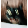 Gatinhosjj 7