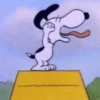 Snoopy 🤍🖤 6