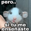 ✨ Memes mix 7 🔥 15