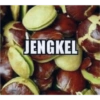 JENGKEL