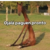Memes 73 26