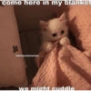 Catscatacats9 28