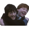 Harry potter 10