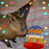 RTHDAY
