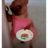 Bebe chorão  11