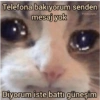 Telefona bakıyorum senden mesaj yok Pofuduukgiller Diyorum iste battı güneşim
