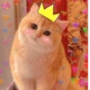Michis Muy cutes 🩷🐱 6