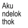 Aku ndelok thok