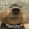 *besito*