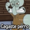 Memes con Frases #2🧠 22