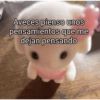 🥳 RAMDOM CONTESTABLES 😎 6